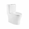 Royal Carly Dual Flush One Piece Toilet -Royal Sales Store 1003 0 08198.1635621210