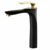 Royal LUXE Tall Single Handle Lav Faucet Black And Gold