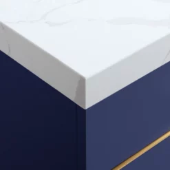 Royal Mercer 60 Inch Double Sink Navy Bathroom Vanity With Gold Trim -Royal Sales Store Screenshot 2023 05 17 121041 42221.1684339930